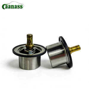 VG1047060005 Thermostat Assembly For HOWO Heavy Truck Engine Spare Parts - Caanass Guangzhou Gelande Auto Parts
