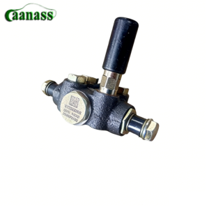 VG1500080100 Fuel Feed Pump For SINOTRUK HOWO WD615 Engine Diesel Supply Parts - Caanass