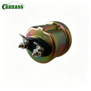 61500090051/2 Oil Pressure Sensor For SINOTRUK HOWO WD615 Engine Parts - Caanass