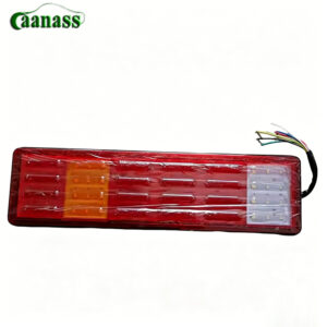 OEM JZ91199810002 LED Combination Rear Lamp With Side Marker Light For Shacman SX2190 Heavy Truck