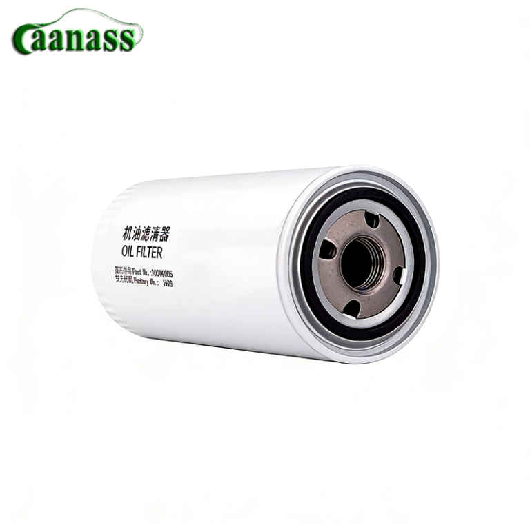 1000424655 Oil Filter For SINOTRUK HOWO Truck Engine Parts - Caanass