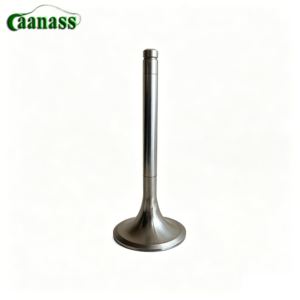 VG1560050041 Engine Exhaust Valve for Sinotruk HOWO WD615 D10 Engine