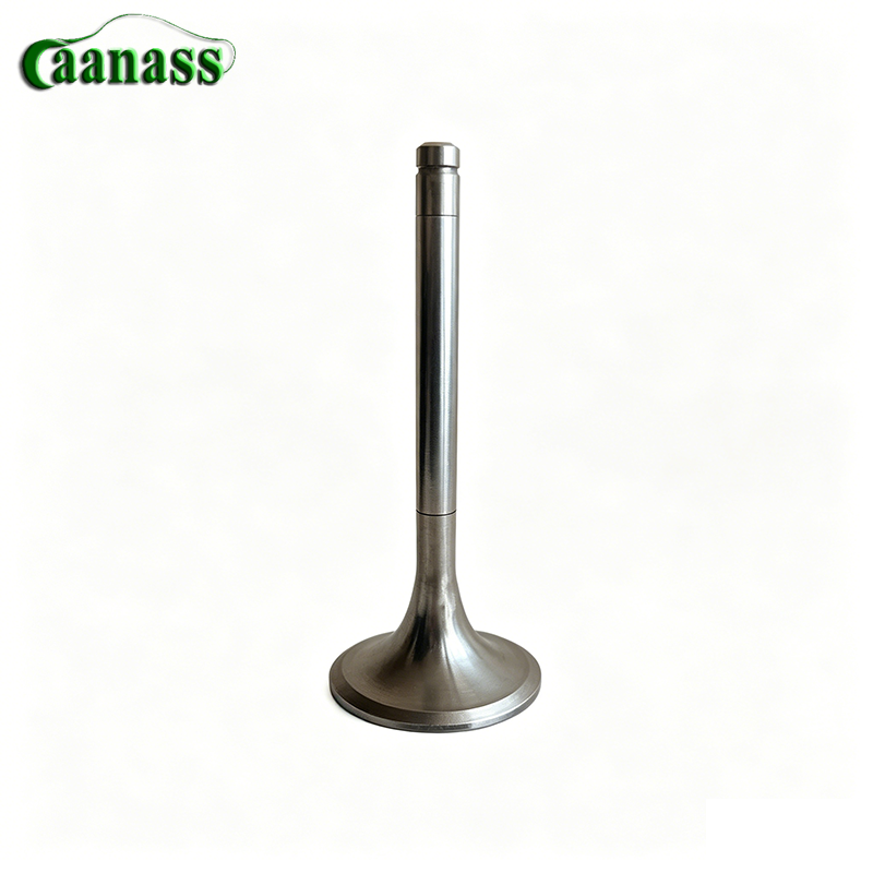 VG1560050041 Engine Exhaust Valve for Sinotruk HOWO WD615 D10 Engine